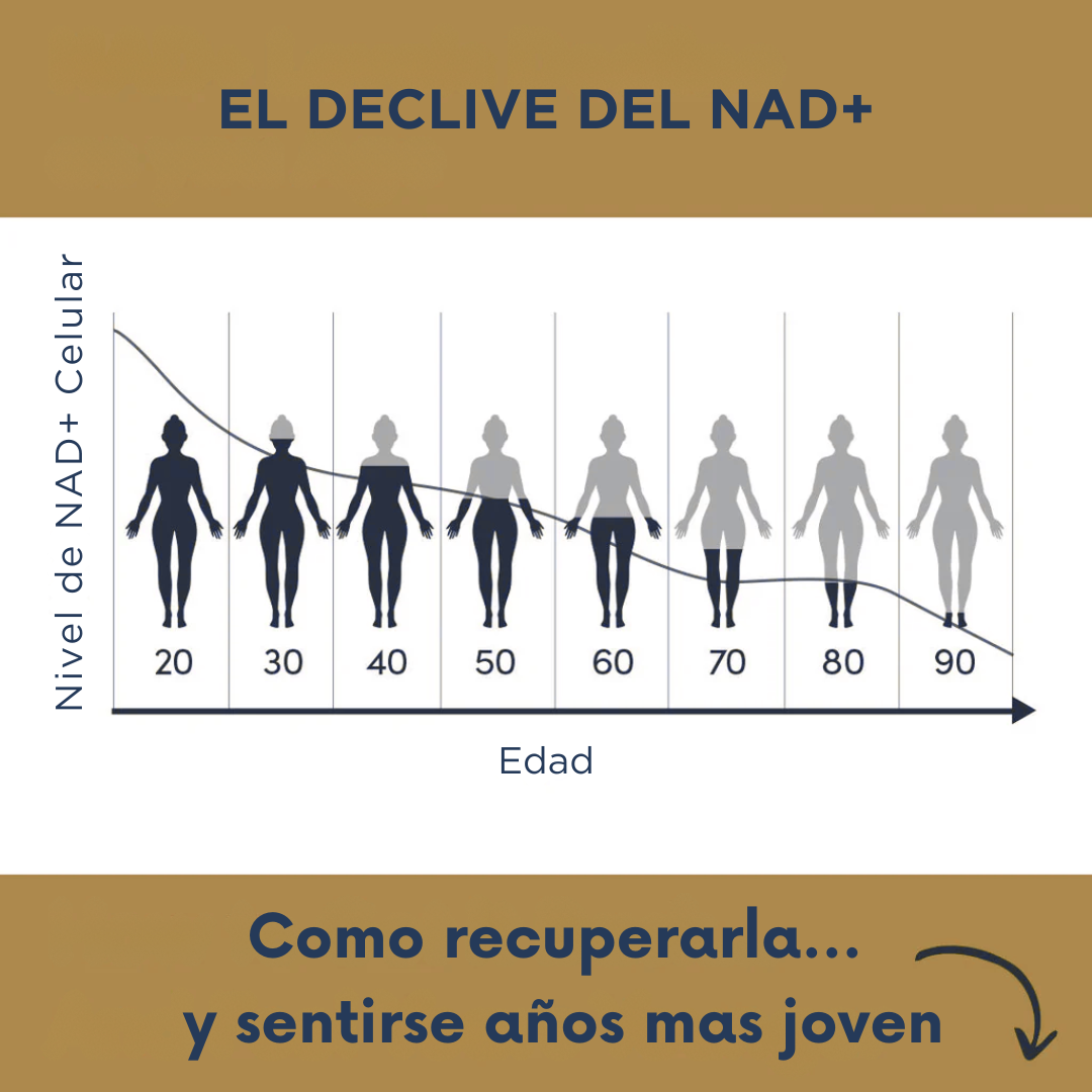 BIO-RESET | Cellular Recovery Complex